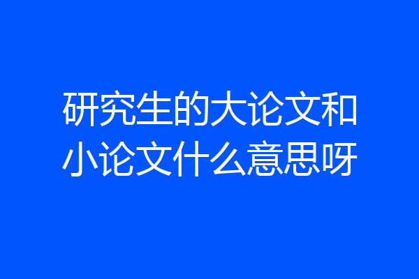 研究生的大论文和小论文什么意思呀