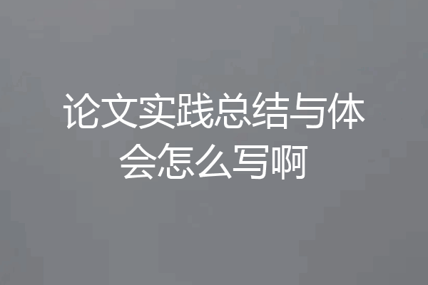 论文实践总结与体会怎么写啊
