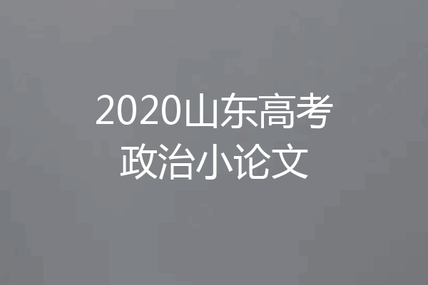 2020山东高考政治小论文