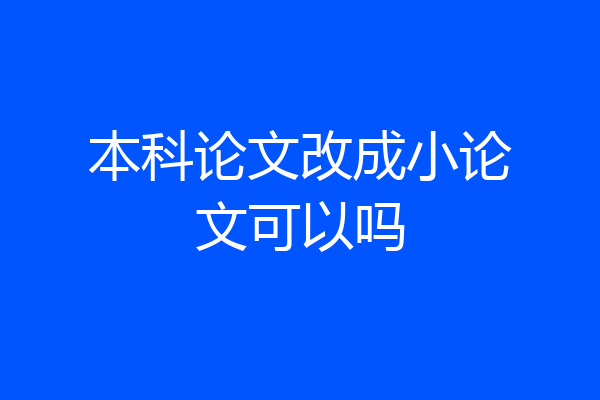 本科论文改成小论文可以吗