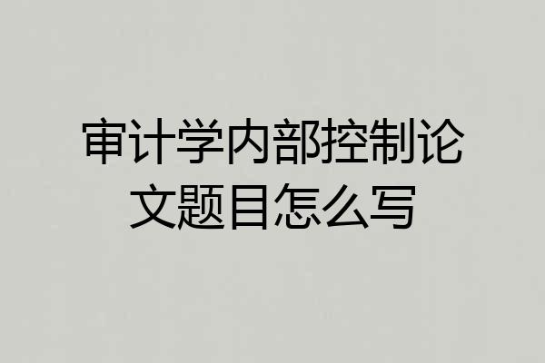审计学内部控制论文题目怎么写