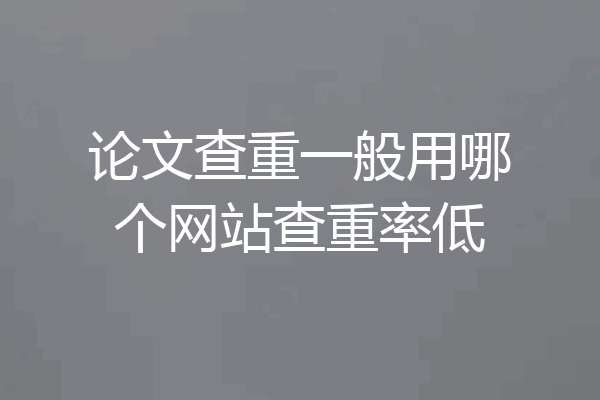 论文查重一般用哪个网站查重率低