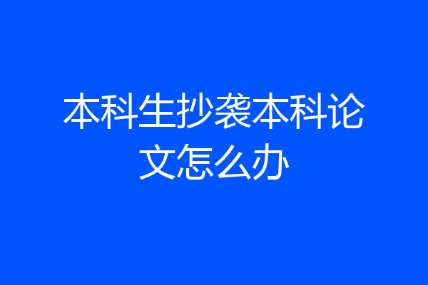 本科生抄袭本科论文怎么办
