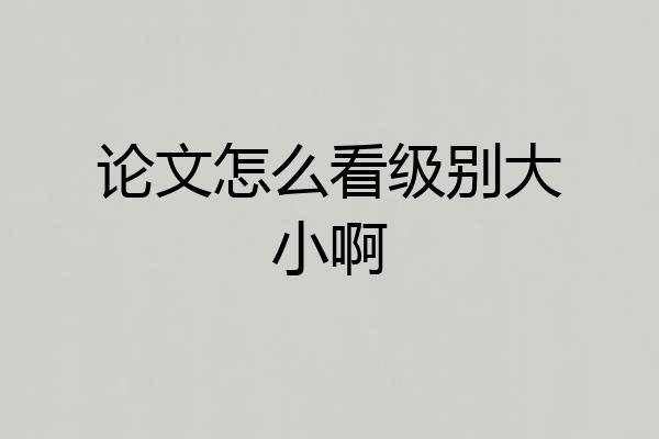 论文怎么看级别大小啊