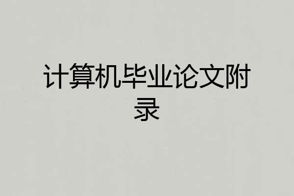 计算机毕业论文附录