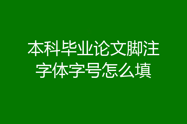本科毕业论文脚注字体字号怎么填