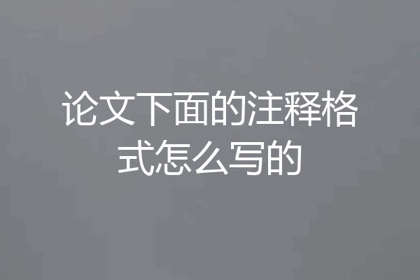论文下面的注释格式怎么写的
