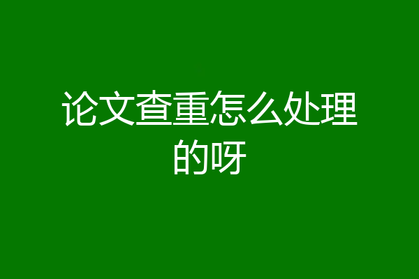 论文查重怎么处理的呀