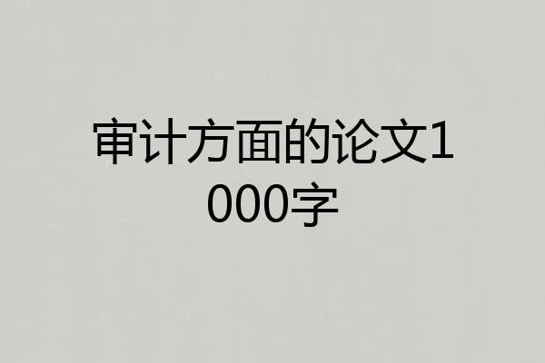 审计方面的论文1000字