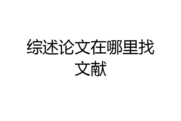 综述论文在哪里找文献
