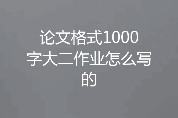 论文格式1000字大二作业怎么写的