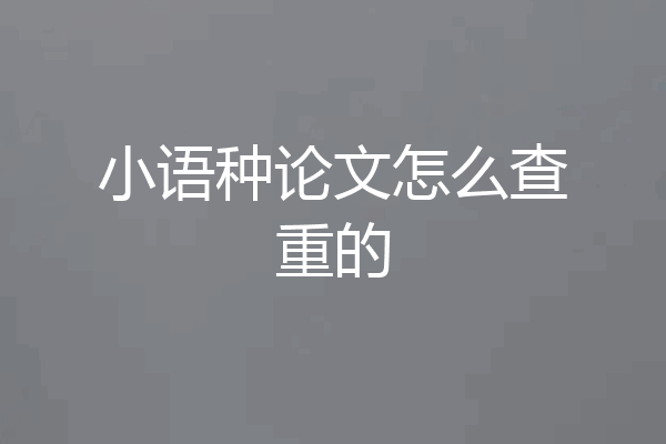 小语种论文怎么查重的