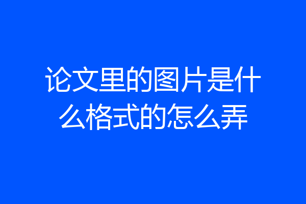 论文里的图片是什么格式的怎么弄