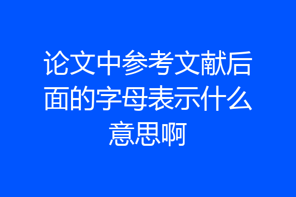 论文中参考文献后面的字母表示什么意思啊