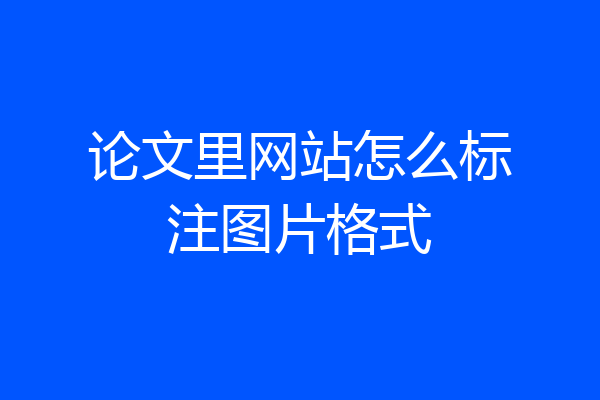 论文里网站怎么标注图片格式