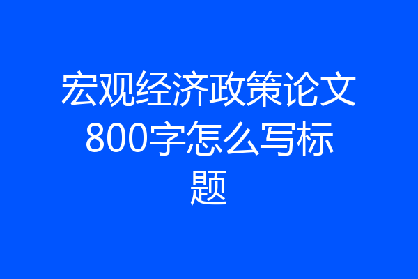 宏观经济政策论文800字怎么写标题