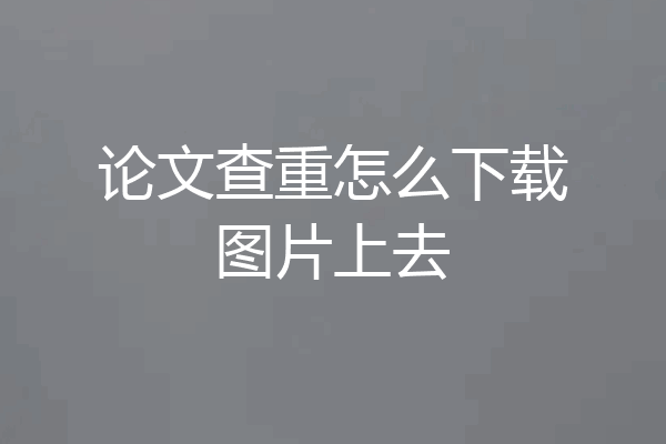 论文查重怎么下载图片上去