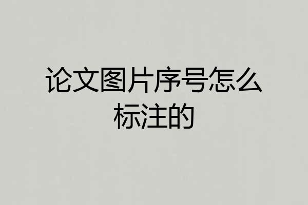 论文图片序号怎么标注的