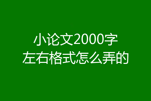 小论文2000字左右格式怎么弄的