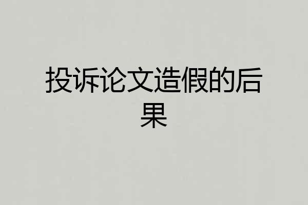 投诉论文造假的后果