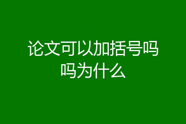 论文可以加括号吗吗为什么