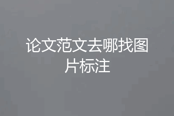 论文范文去哪找图片标注
