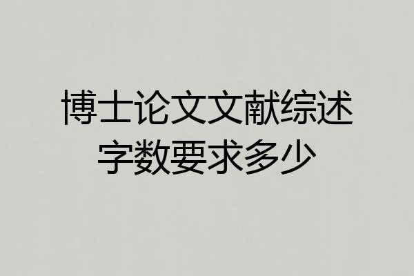 博士论文文献综述字数要求多少