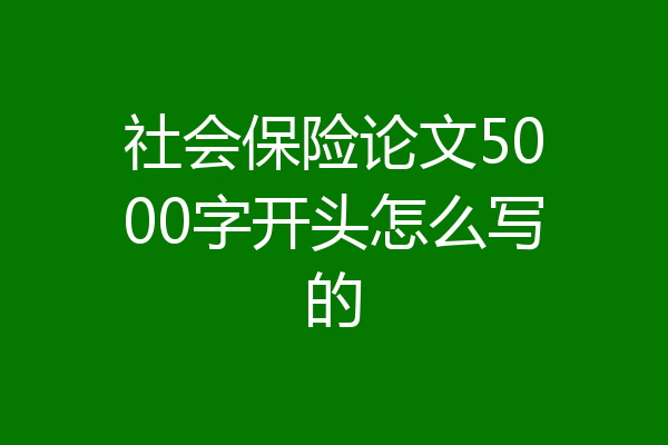 社会保险论文5000字开头怎么写的