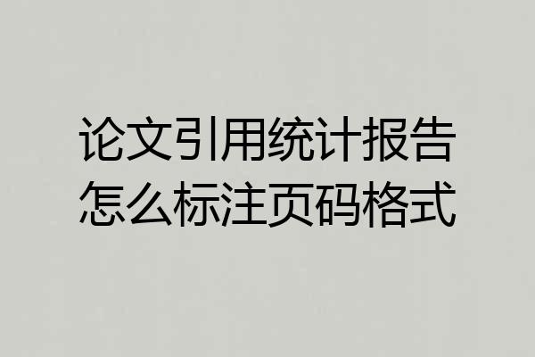 论文引用统计报告怎么标注页码格式