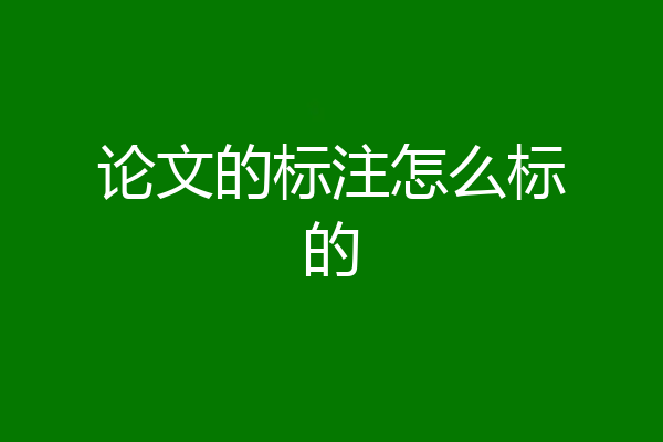 论文的标注怎么标的
