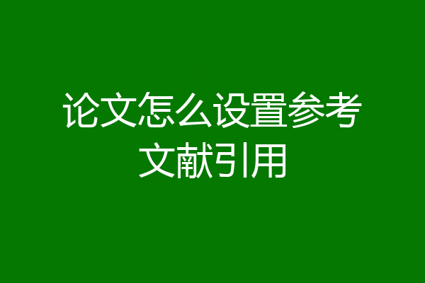 论文怎么设置参考文献引用
