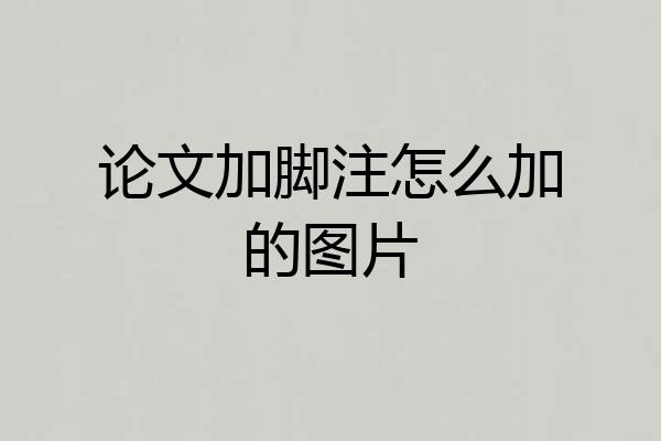 论文加脚注怎么加的图片