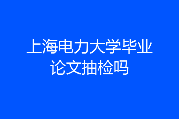 上海电力大学毕业论文抽检吗