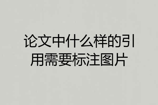 论文中什么样的引用需要标注图片