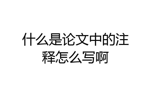 什么是论文中的注释怎么写啊