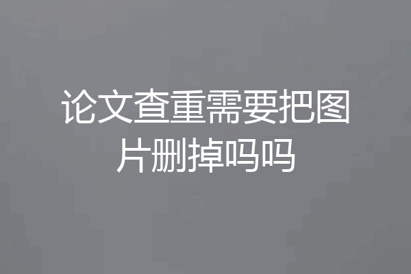 论文查重需要把图片删掉吗吗