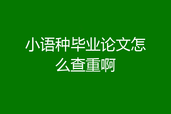 小语种毕业论文怎么查重啊