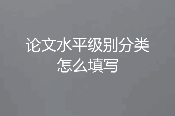 论文水平级别分类怎么填写