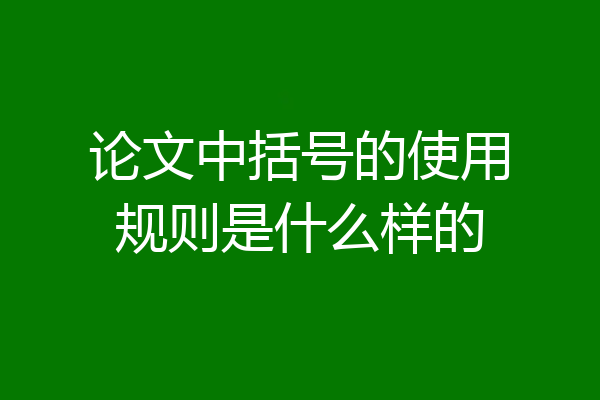 论文中括号的使用规则是什么样的
