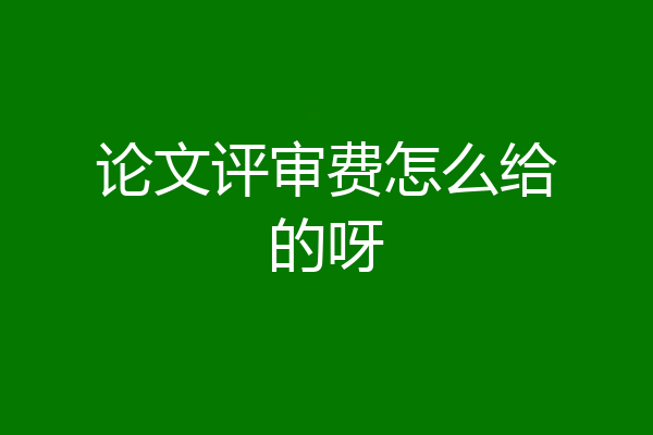论文评审费怎么给的呀