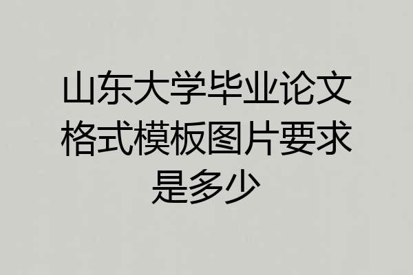 山东大学毕业论文格式模板图片要求是多少