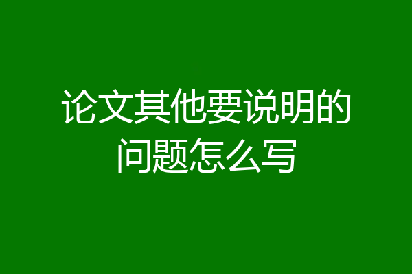 论文其他要说明的问题怎么写