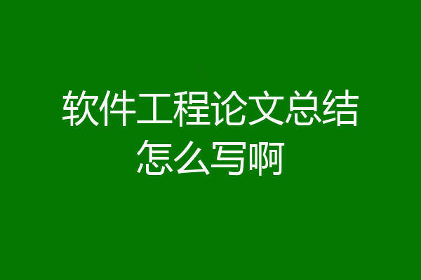 软件工程论文总结怎么写啊