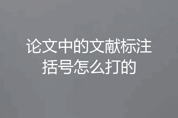 论文中的文献标注括号怎么打的