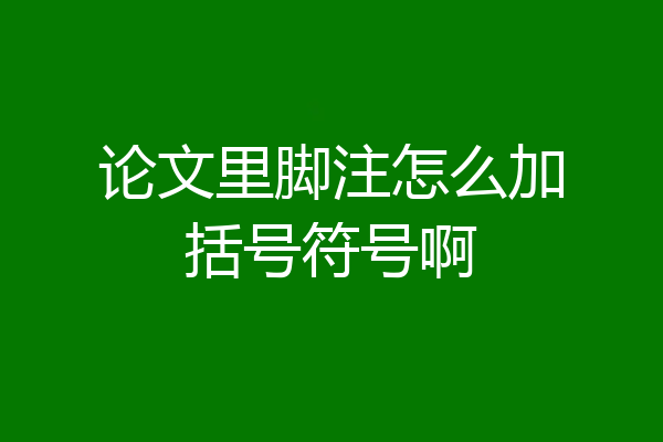论文里脚注怎么加括号符号啊