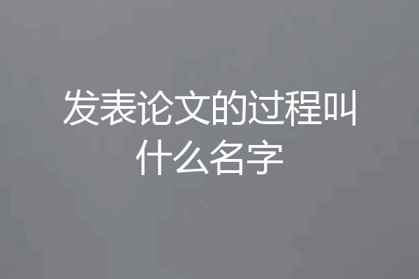 发表论文的过程叫什么名字