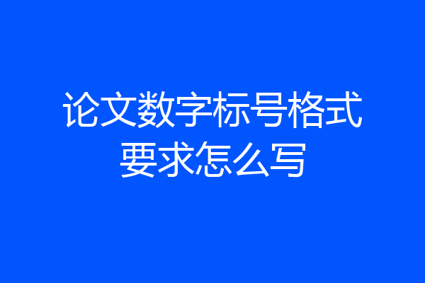 论文数字标号格式要求怎么写