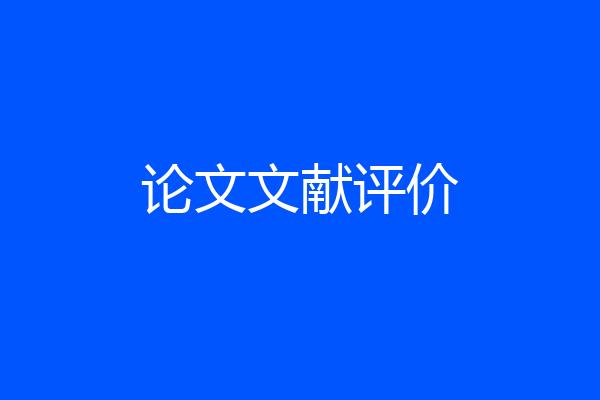 论文文献评价