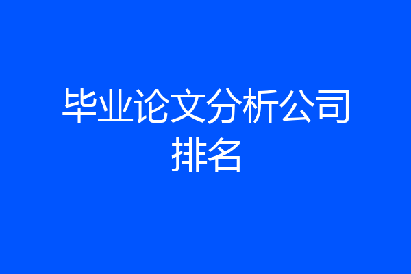 毕业论文分析公司排名