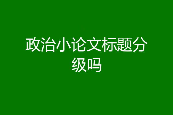 政治小论文标题分级吗